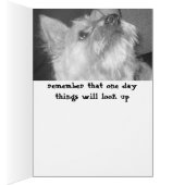 down in the dumps cards (Inside (Right))
