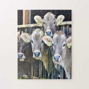 Down On The Farm Cows Jigsaw Puzzle