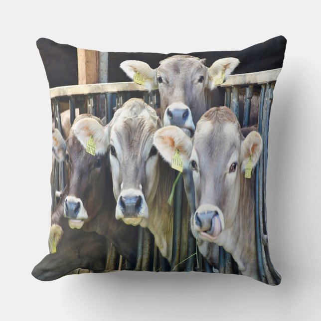 Down On The Farm Cows Throw Pillow (Front)
