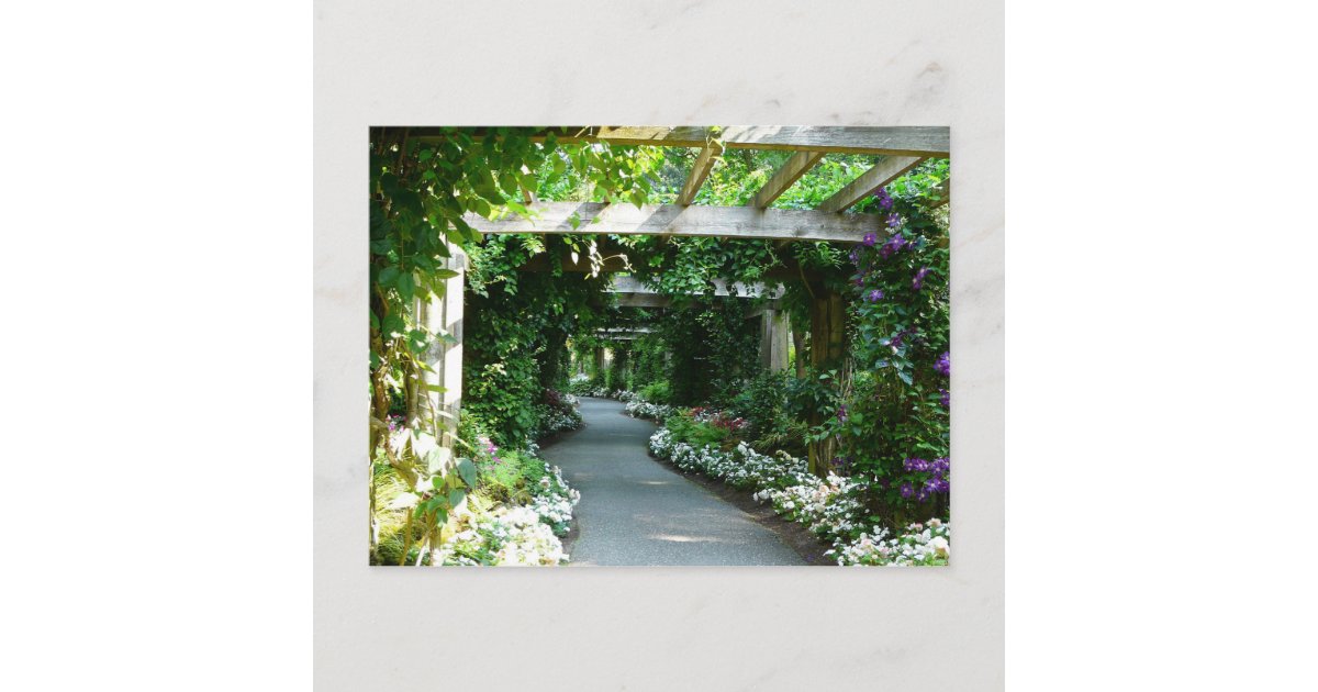 Down the Garden Path Postcard Zazzle