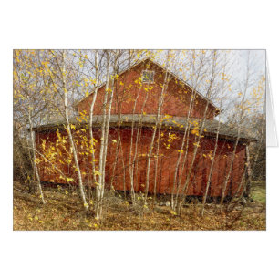 Down The Lane Farm Barn