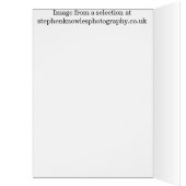 Down the plug hole (Inside (Left))