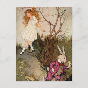 Down the Rabbit Hole Postcard
