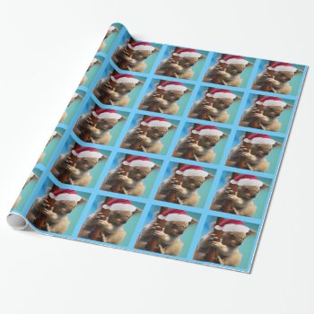 Down Under Christmas Hat Koala Wrapping Paper by StarStruckDezigns at Zazzle
