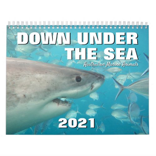 Down Under The Sea Australia Marine Animals Calendar