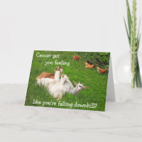 Downhill Goats Cancer Encouragement