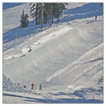 Downhill Skiing Winter Scene Fabric