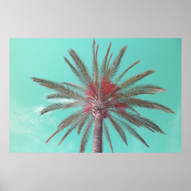 Downloadable Blue Sky Palm Tree Photo Poster (Front)
