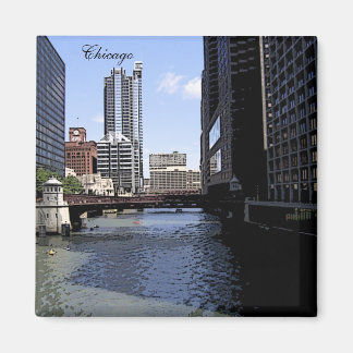 Downtown Chicago by River Magnet