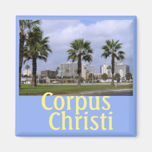 Downtown Corpus Christi Texas Souvenir Magnet