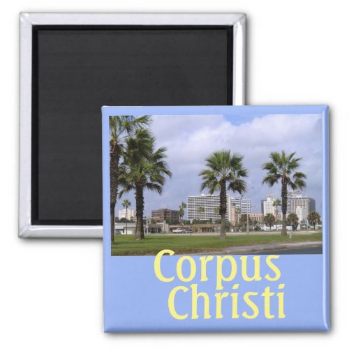 Downtown Corpus Christi Texas Souvenir Magnet