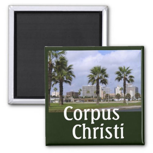 Downtown Corpus Christi Texas Souvenir Magnet