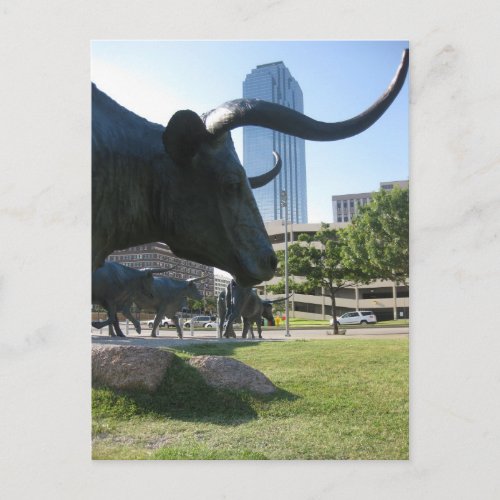 Downtown Dallas Texas Postcard