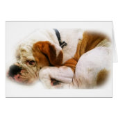 Downward Dog (Front Horizontal)