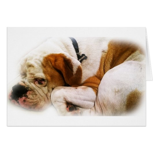 Downward Dog (Front Horizontal)