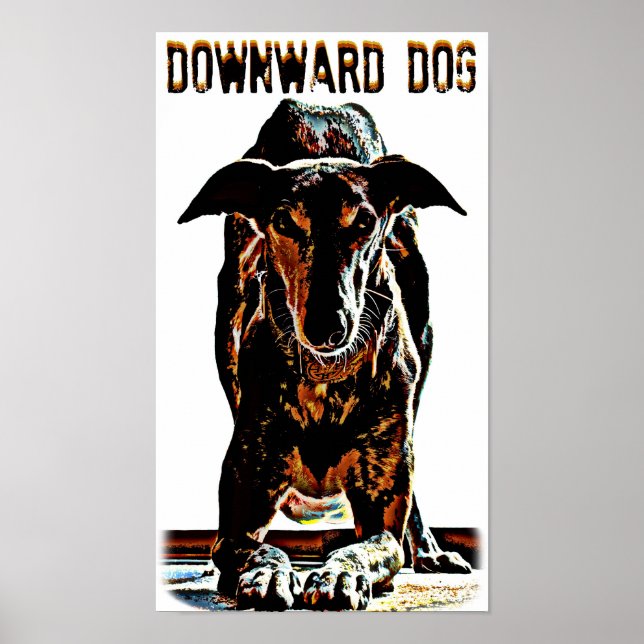 Downward Dog Poster (Front)