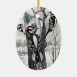 Downy And Hairy Woodpeckers In Winter Ceramic Ornament at Zazzle