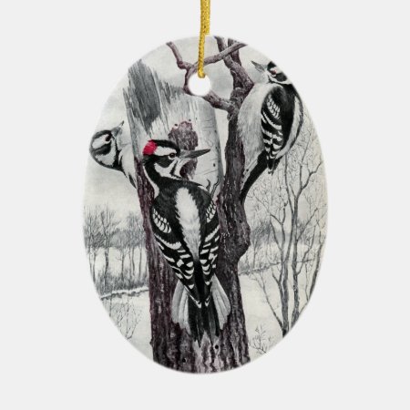 Downy And Hairy Woodpeckers In Winter Ceramic Ornament