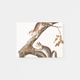 Downy Brown Squirrel House Post-it Notes