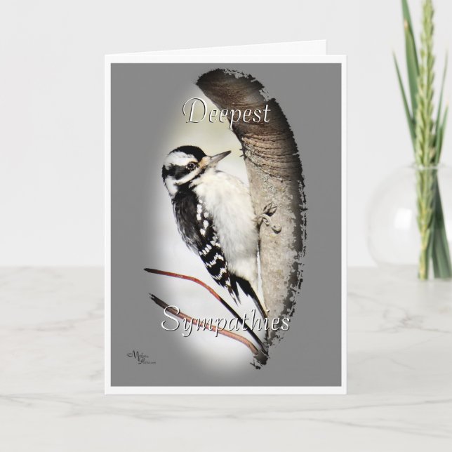 Downy Woodpecker 8998- customize as desired Card (Front)