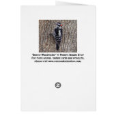 Downy Woodpecker Bird Card (Back)