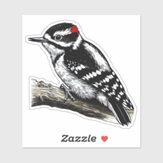 Downy Woodpecker bird Custom-Cut Vinyl Sticker