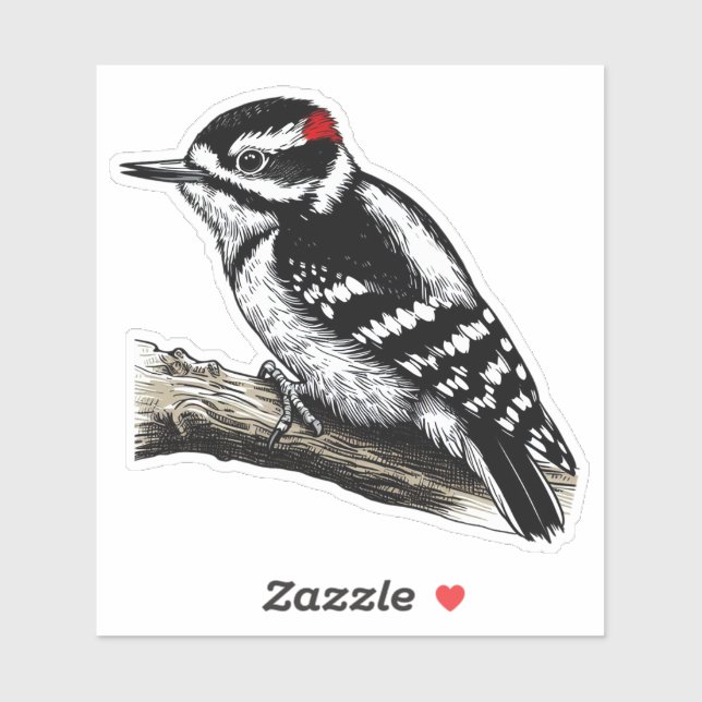 Downy Woodpecker bird Custom-Cut Vinyl Sticker (Sheet)