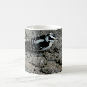 Downy Woodpecker Black/White 11 oz Morphing Mug