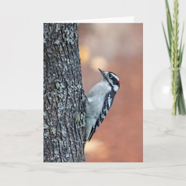 Downy Woodpecker Blank Note Card (Front)