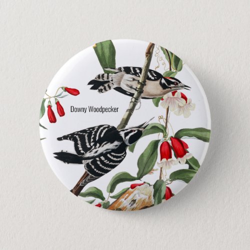Downy Woodpecker by Audubon Birdwatcher Birder Button
