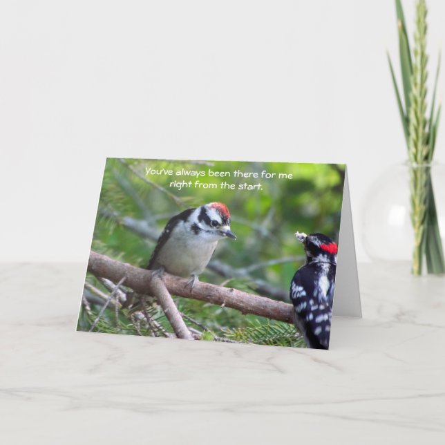 Downy Woodpecker Card for a parent or guardian (Front)