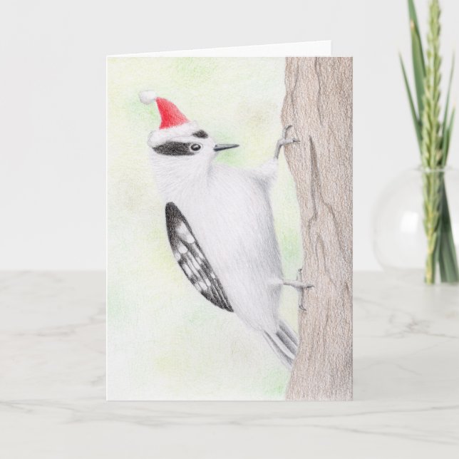 Downy Woodpecker Christmas Card (Front)