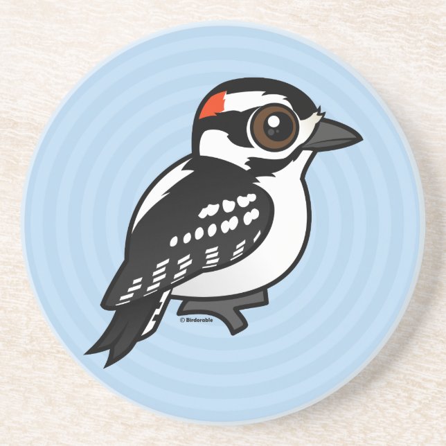 Downy Woodpecker Coaster (Front)