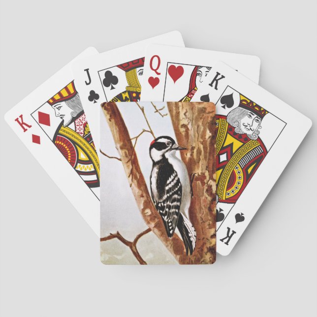 Downy Woodpecker Drawing Poker Cards (Back)