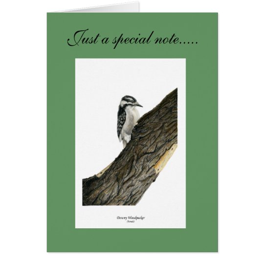 Downy Woodpecker (Female) Card