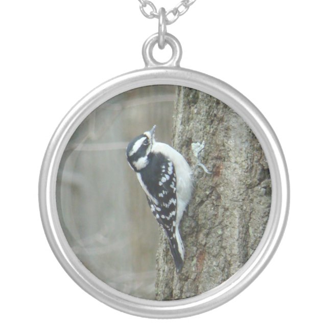 Downy Woodpecker Female Silver Plated Necklace (Front)