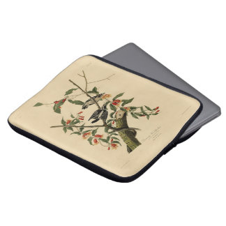 Downy Woodpecker - from Audubon's Birds of America Laptop Sleeve