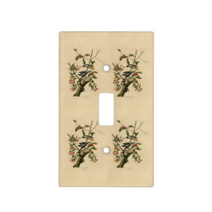 Downy Woodpecker - from Audubon's Birds of America Light Switch Cover