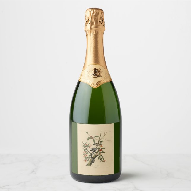 Downy Woodpecker - from Audubon's Birds of America Sparkling Wine Label (Front)