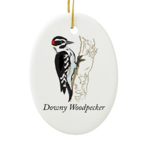 Downy Woodpecker Illustration Ceramic Ornament