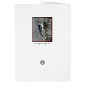 Downy Woodpecker in Snow - Original Photograph (Back)