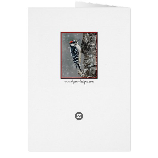 Downy Woodpecker in Snow - Original Photograph (Back)