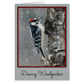 Downy Woodpecker in Snow - Original Photograph (Front)