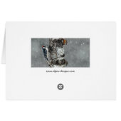 Downy Woodpecker in Snow - Original Photograph (Back Horizontal)