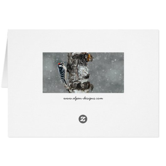 Downy Woodpecker in Snow - Original Photograph (Back Horizontal)