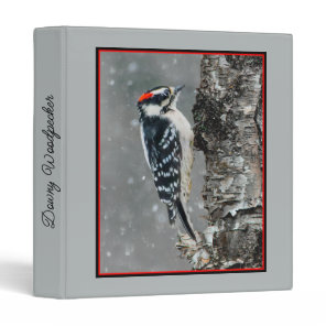 Downy Woodpecker in Snow - Original Photograph 3 Ring Binder