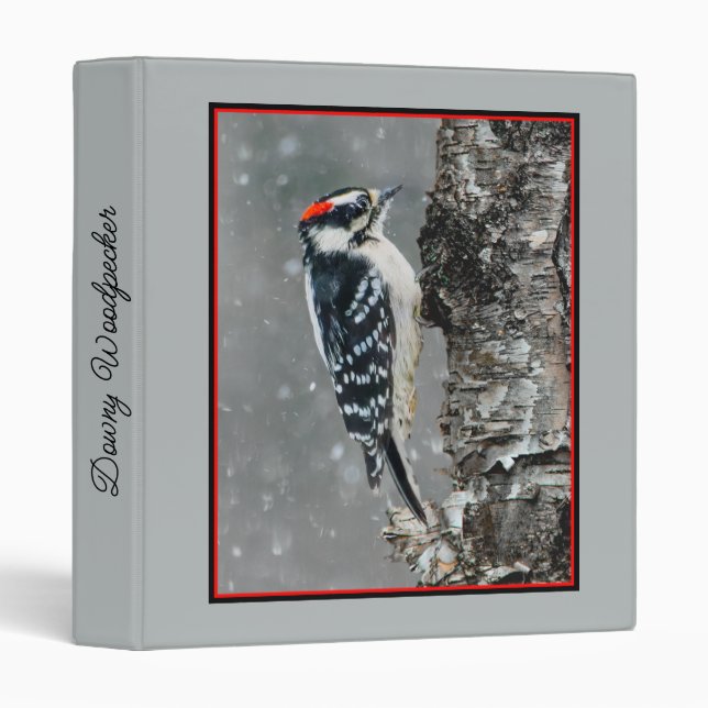 Downy Woodpecker in Snow - Original Photograph 3 Ring Binder (Front/Spine)