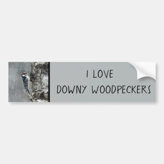 Downy Woodpecker in Snow - Original Photograph Bumper Sticker (Front)