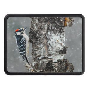 Downy Woodpecker in Snow - Original Photograph Hitch Cover