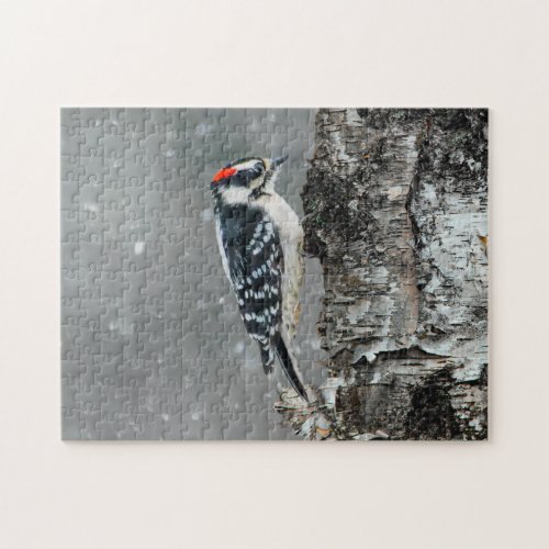 Downy Woodpecker in Snow _ Original Photograph Jigsaw Puzzle